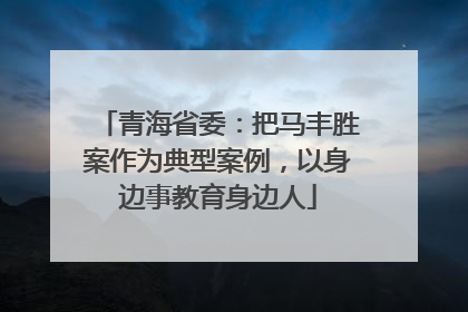 青海省委：把马丰胜案作为典型案例，以身边事教育身边人