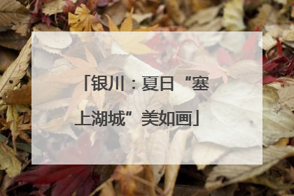 银川：夏日“塞上湖城”美如画