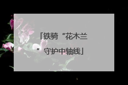 铁骑“花木兰”守护中轴线