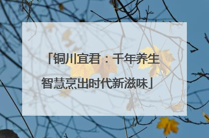铜川宜君：千年养生智慧烹出时代新滋味