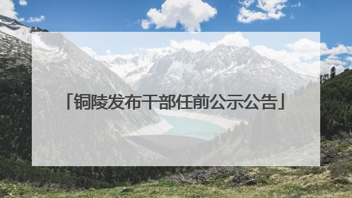 铜陵发布干部任前公示公告