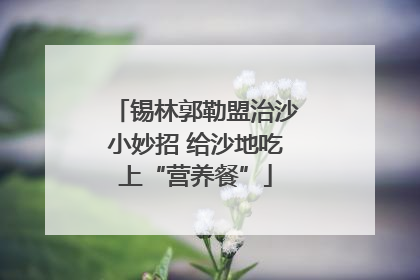 锡林郭勒盟治沙小妙招 给沙地吃上“营养餐”