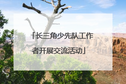 长三角少先队工作者开展交流活动