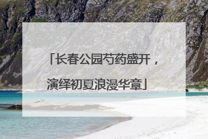长春公园芍药盛开，演绎初夏浪漫华章