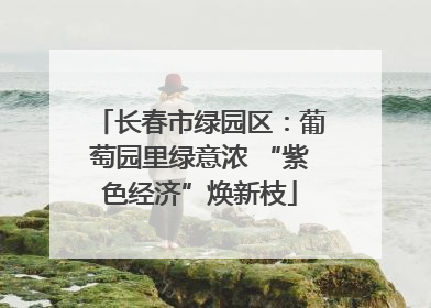 长春市绿园区：葡萄园里绿意浓 “紫色经济”焕新枝