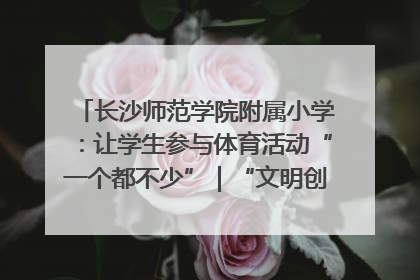 长沙师范学院附属小学：让学生参与体育活动“一个都不少”｜“文明创建耀三湘”专栏