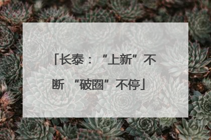 长泰：“上新”不断 “破圈”不停