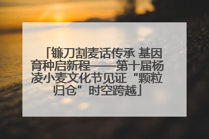 镰刀割麦话传承 基因育种启新程——第十届杨凌小麦文化节见证“颗粒归仓”时空跨越