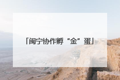 闽宁协作孵“金”蛋