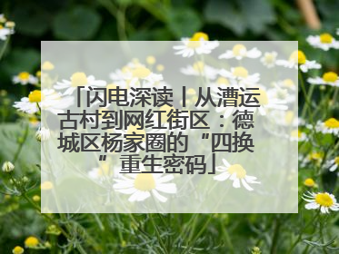 闪电深读丨从漕运古村到网红街区：德城区杨家圈的“四换”重生密码