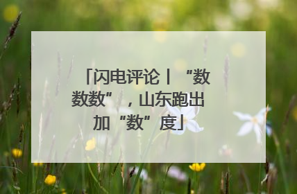 闪电评论丨“数数数”，山东跑出加“数”度