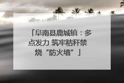 阜南县鹿城镇：多点发力 筑牢秸秆禁烧“防火墙”