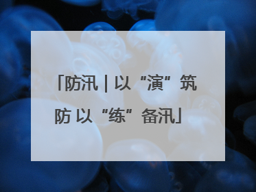 防汛｜以“演”筑防 以“练”备汛