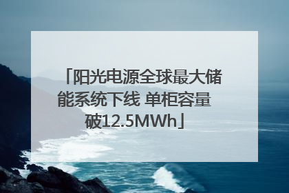 阳光电源全球最大储能系统下线 单柜容量破12.5MWh