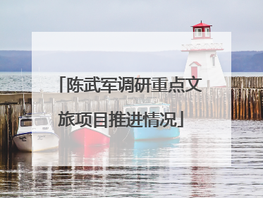 陈武军调研重点文旅项目推进情况