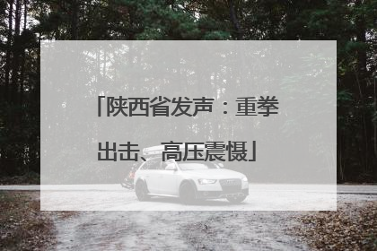 陕西省发声：重拳出击、高压震慑
