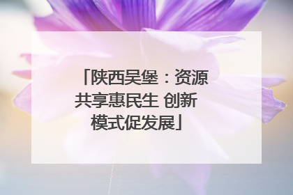 陕西吴堡：资源共享惠民生 创新模式促发展