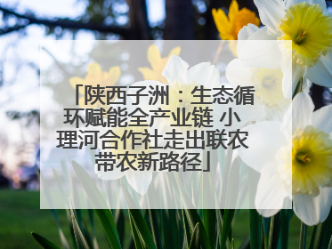 陕西子洲：生态循环赋能全产业链 小理河合作社走出联农带农新路径