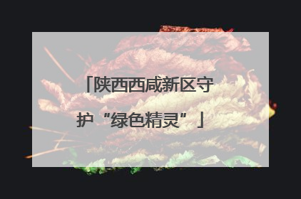陕西西咸新区守护“绿色精灵”