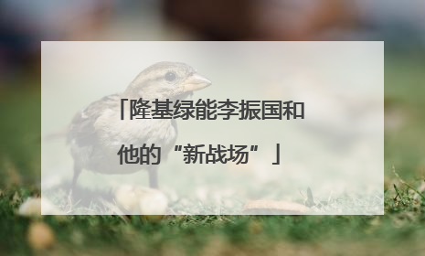 隆基绿能李振国和他的“新战场”