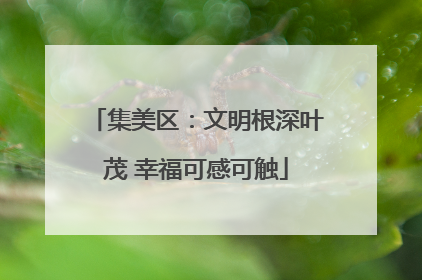 集美区：文明根深叶茂 幸福可感可触