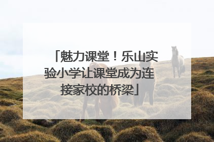 魅力课堂！乐山实验小学让课堂成为连接家校的桥梁