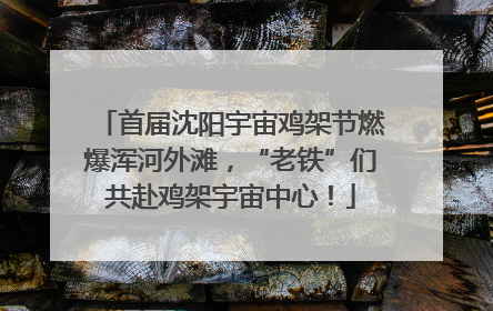 首届沈阳宇宙鸡架节燃爆浑河外滩，“老铁”们共赴鸡架宇宙中心！