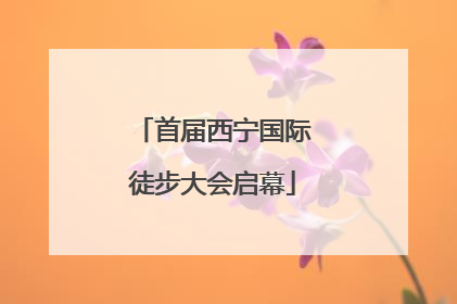 首届西宁国际徒步大会启幕
