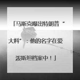 马斯克曝出特朗普“大料”：他的名字在爱泼斯坦档案中！
