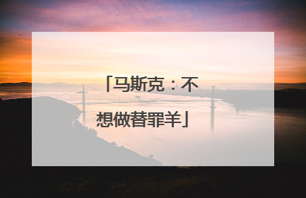 马斯克：不想做替罪羊