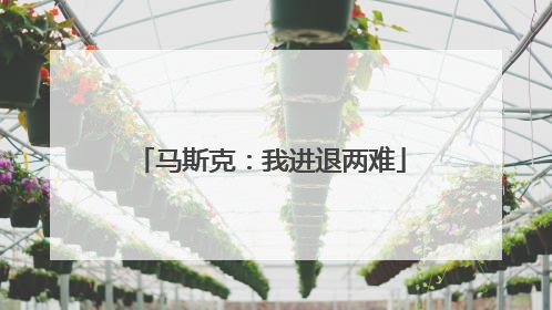 马斯克：我进退两难