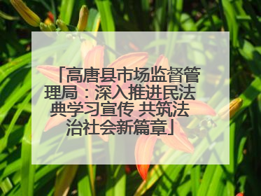 高唐县市场监督管理局：深入推进民法典学习宣传 共筑法治社会新篇章