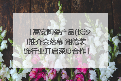 高安陶瓷产品(长沙)推介会落幕 湘赣装饰行业开启深度合作