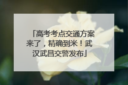 高考考点交通方案来了，精确到米！武汉武昌交警发布