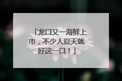 龙口又一海鲜上市，不少人夏天就好这一口！