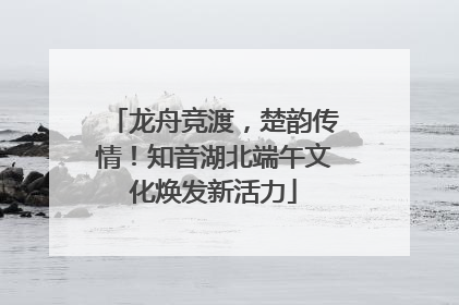 龙舟竞渡，楚韵传情！知音湖北端午文化焕发新活力