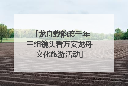 龙舟载韵渡千年 三组镜头看万安龙舟文化旅游活动