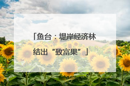 鱼台：堤岸经济林结出“致富果”