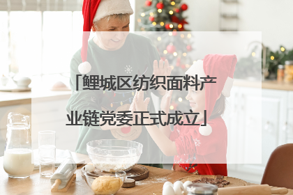 鲤城区纺织面料产业链党委正式成立