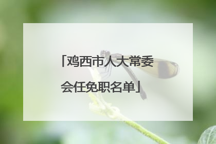 鸡西市人大常委会任免职名单