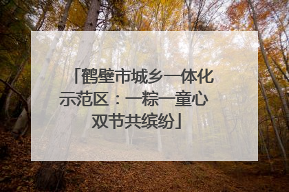 鹤壁市城乡一体化示范区：一粽一童心 双节共缤纷