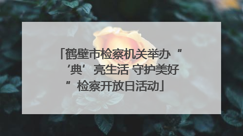 鹤壁市检察机关举办“‘典’亮生活 守护美好”检察开放日活动
