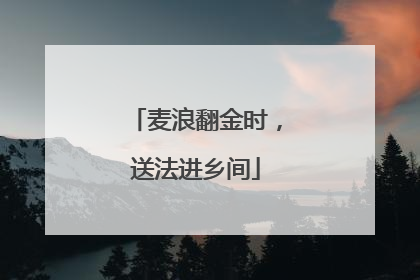 麦浪翻金时，送法进乡间