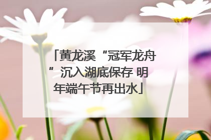 黄龙溪“冠军龙舟”沉入湖底保存 明年端午节再出水