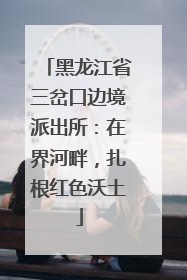黑龙江省三岔口边境派出所：在界河畔，扎根红色沃土