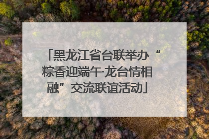 黑龙江省台联举办“粽香迎端午·龙台情相融”交流联谊活动