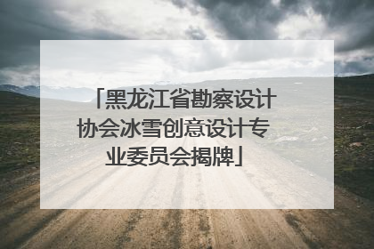 黑龙江省勘察设计协会冰雪创意设计专业委员会揭牌