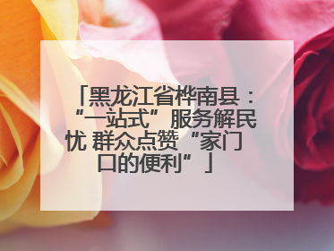 黑龙江省桦南县：“一站式”服务解民忧 群众点赞“家门口的便利”