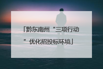黔东南州“三项行动”优化招投标环境