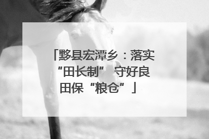 黟县宏潭乡：落实“田长制” 守好良田保“粮仓”